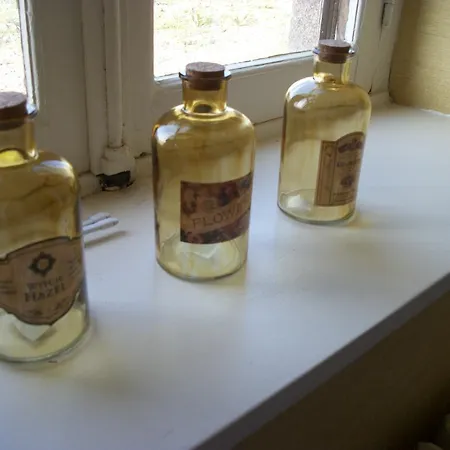 Hotel La Grande Metairie *