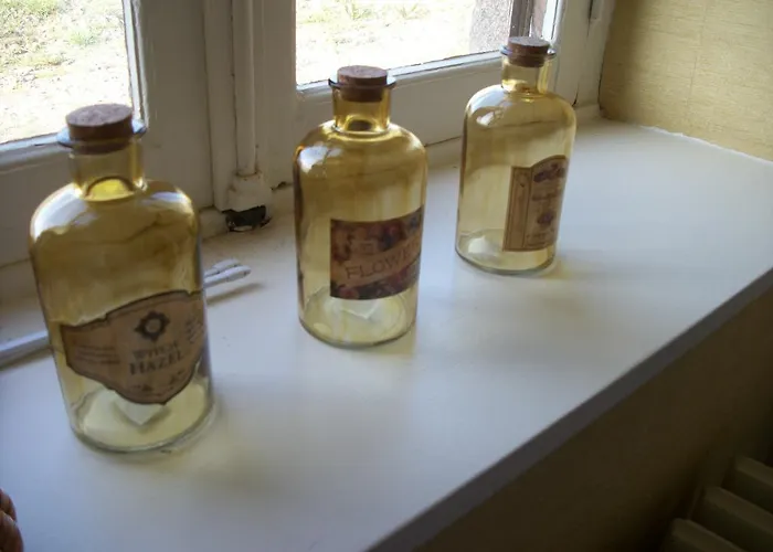 ホテル La Grande Metairie *